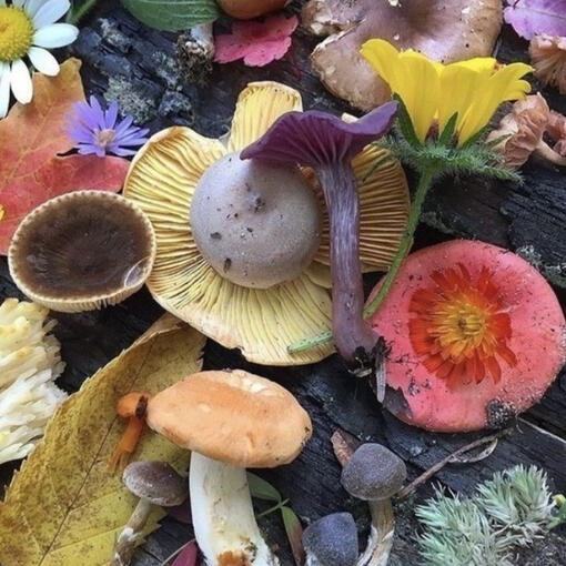 a girl in a cream dress standing with a boquet of flowers and a bag